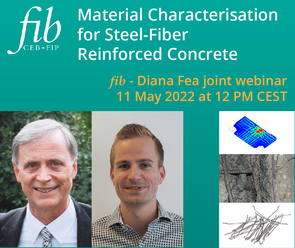 220406 Diana Fea webinar Facebook